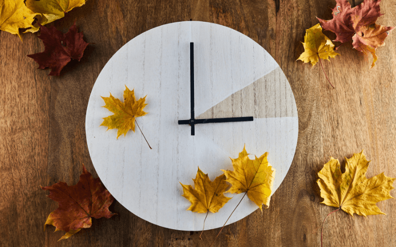 Do Property Management Companies Pay Up Front for Roof Replacement? - What Time of Year Is the Cheapest to Replace a Roof